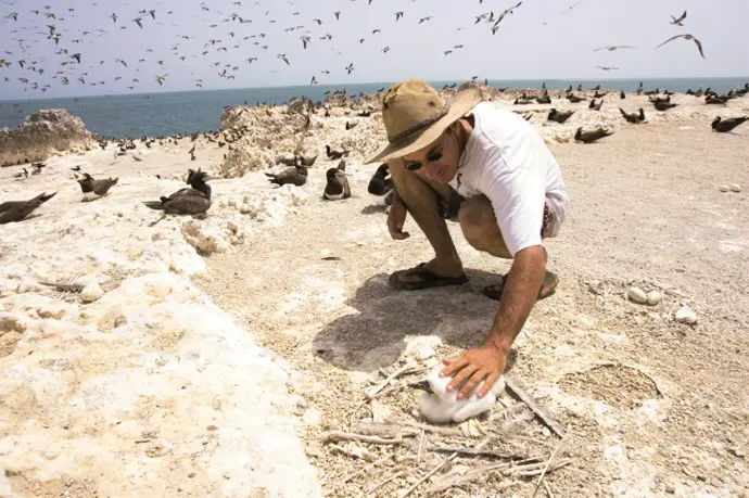 Birdwatching au Sénégal