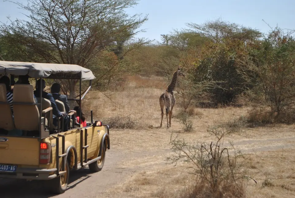 Safari à la réserve de Bandia -Sénégal